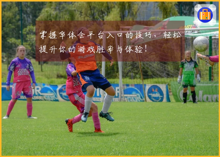 掌握华体会平台入口的技巧，轻松提升你的游戏胜率与体验！