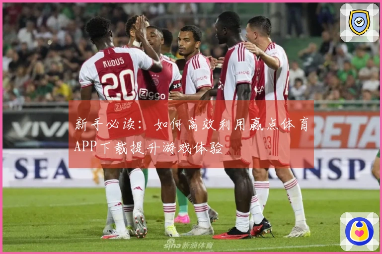 新手必读：如何高效利用赢点体育APP下载提升游戏体验